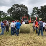 HENOLAJE MASCAR AGROSCOPIO