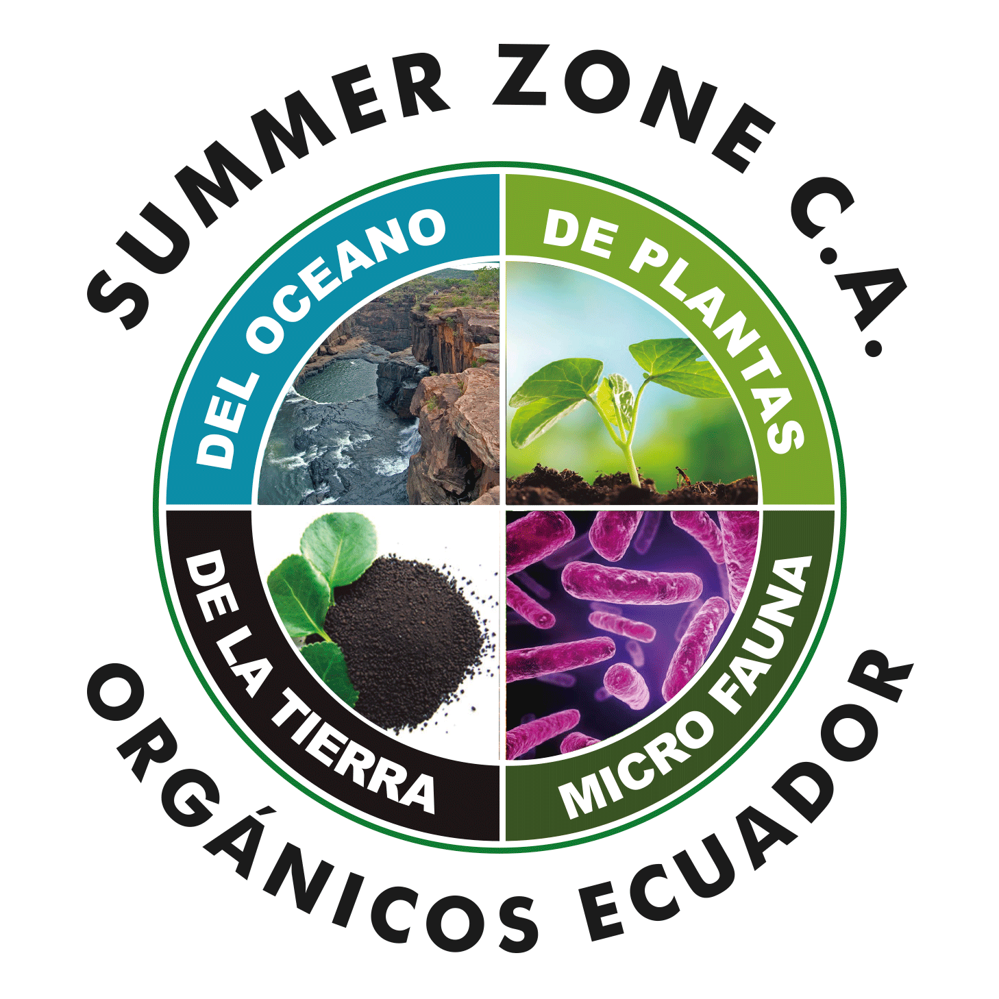SUMMER ZONE LOGO