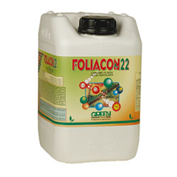 FOLIACON 22