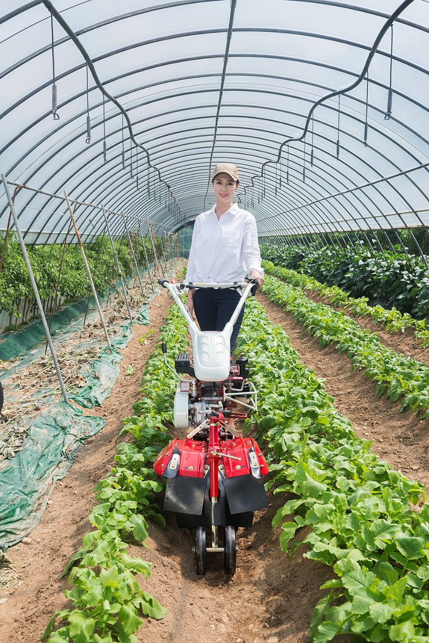 Razones por las que un motocultor es una excelente inversión para los agricultores