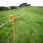 PIGTAIL STANDARD 728MM PK 10 GALLAGHER - Imagen 2