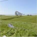 COLADOR DE ALAMBRE PARA CERCAS