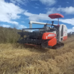 COSECHADORA DE ARROZ DESMALEZADORAS SEMBRADORA RESEMBRADORA DE POTREROS CUCHILLA TRASERA NIVELADORA HIDRAULICA