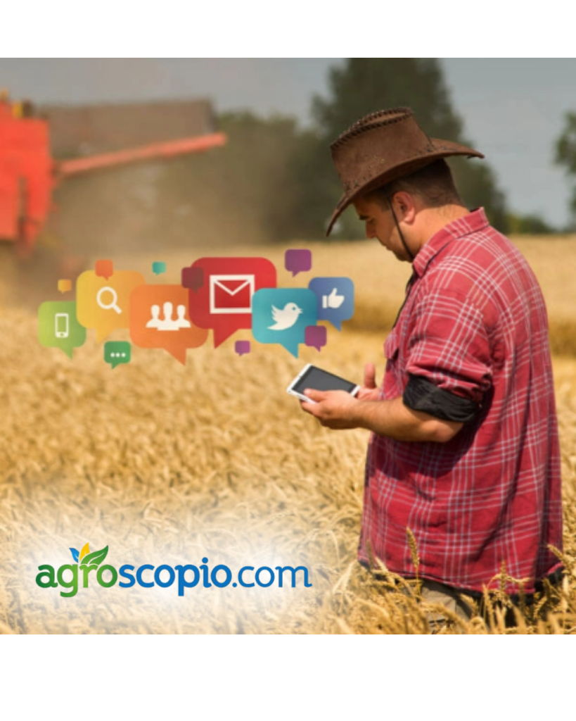 MARKETING DIGITAL AGRO WEB
