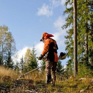 MOTOGUADAÑAS, DESMALEZADORAS Y DESBROZADORAS GUÍA BÁSICA PARA PRINCIPIANTES – AGROSCOPIO