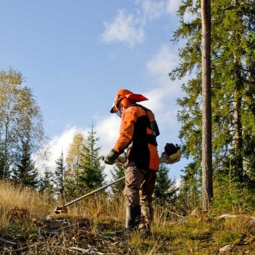 MOTOGUADAÑAS, DESMALEZADORAS Y DESBROZADORAS GUÍA BÁSICA PARA PRINCIPIANTES – AGROSCOPIO