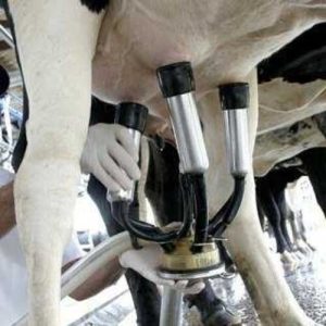 CARACTERÍSTICAS DE LOS EQUIPOS DE ORDEÑO – AGROSCOPIO