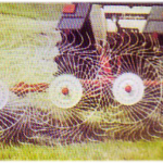 rastrillos-5 soles.Agroscopio