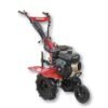 MOTOAZADA DUCATI DTL7000 7,0HP 10577 - Imagen 2