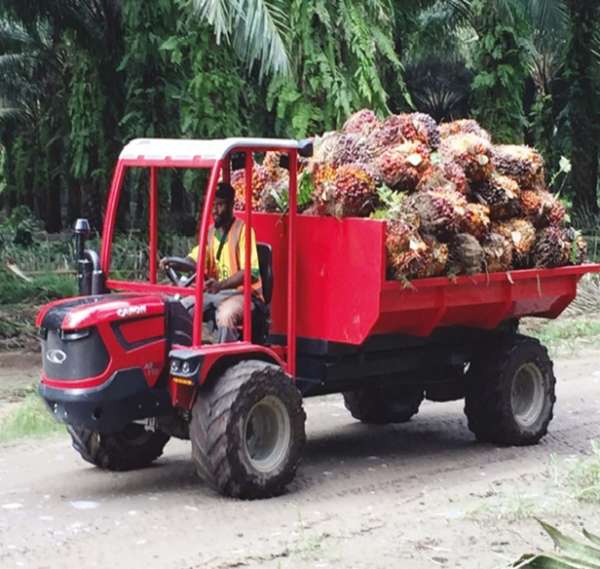 VEHICULO PARA TRANSPORTE DE PALMA