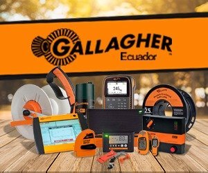 Gallagher-300X250