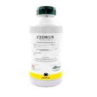 INSECTICIDA CEDRUS 2 FRASCOS DE 1 LITRO
