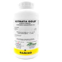  XSTRATA GOLD 1 LITRO