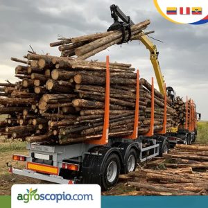 GRUAS FORESTALES PARA CAMION PALFINGER FASSI PM MARCHESI