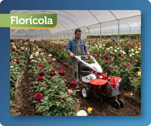 Implementos para Floricultura | Equipos Agrícolas para Flores en Ecuador, Perú y Colombia Implementos para floricultura: equipos agrícolas para producción y manejo de flores en Ecuador, Perú y Colombia